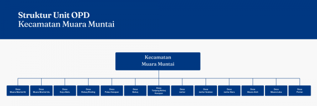 Struktur Unit OPD Kecamatan Muara Muntai
