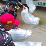 Festival Batu Bumbun Ke-3: Ribuan Bibit Ikan Nila Ditebar di Suaka Perikanan Muara Muntai Ilir
